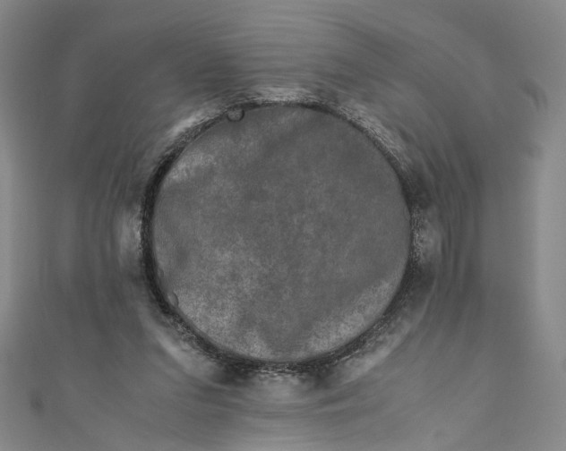 X0000110870207200907021443