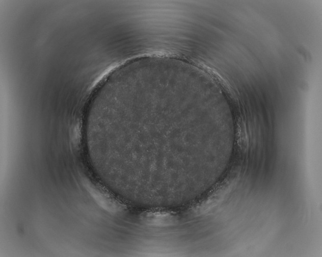 X0000110870208200907021443