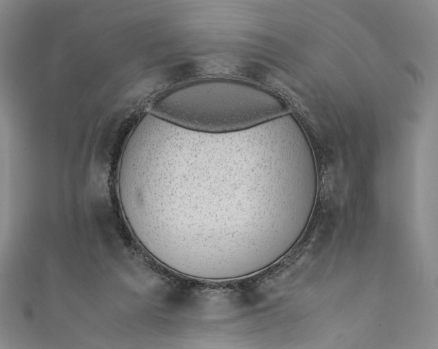 X0000110870209200907021443