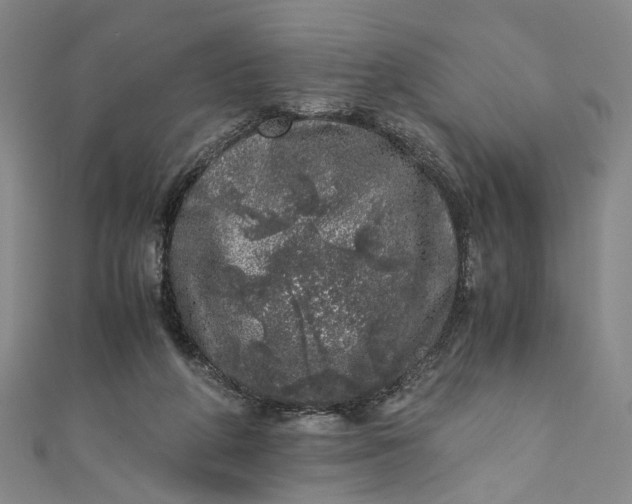 X0000110870210200907021443