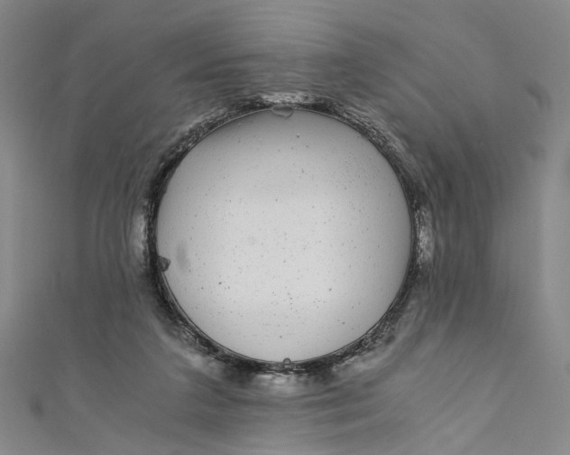 X0000110870211200907021443