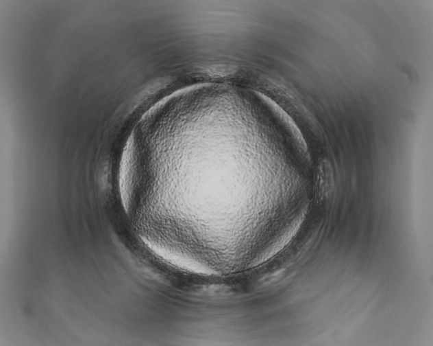 X0000110870212200907021443