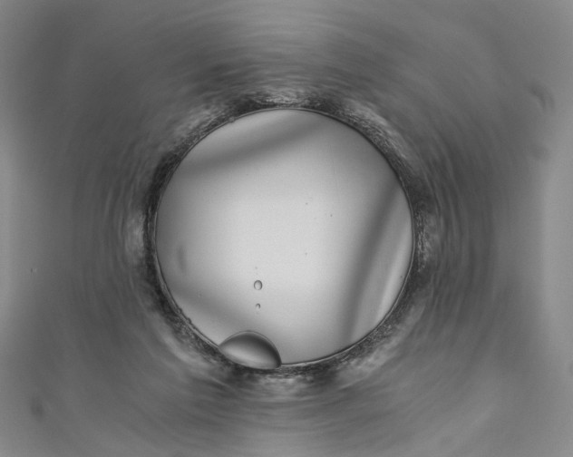 X0000110870213200907021443