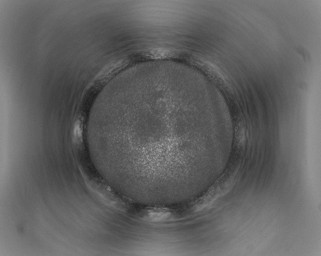 X0000110870214200907021443