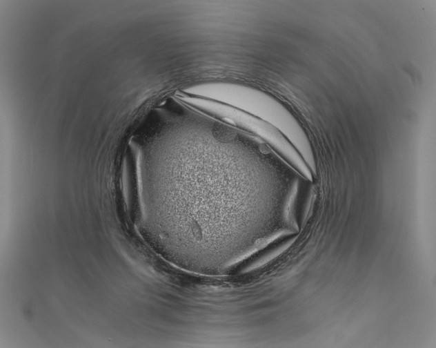 X0000110870215200907021443