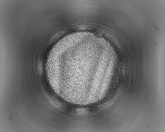 X0000110870216200907021443