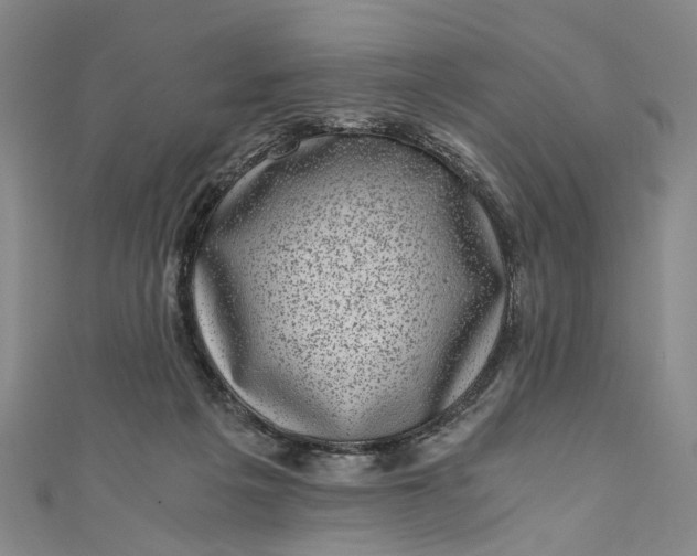 X0000110870217200907021443