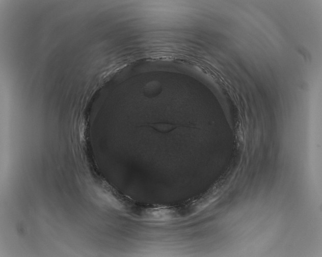 X0000110870219200907021443