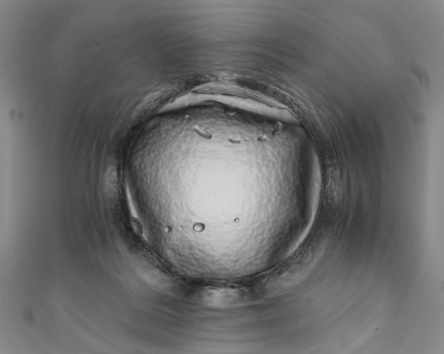 X0000110870220200907021443