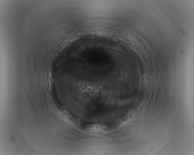 X0000110870223200907021443