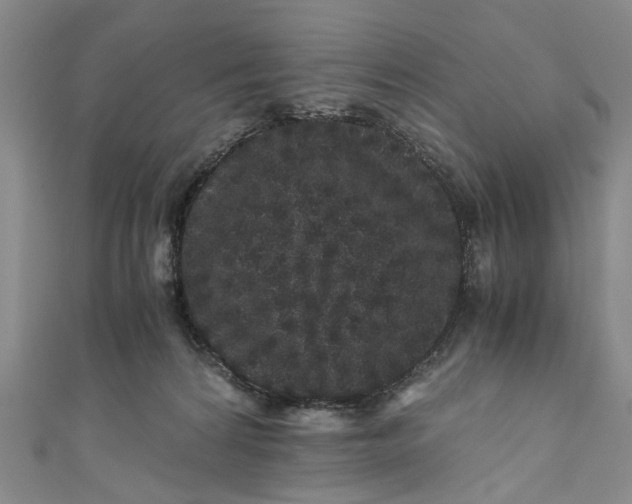 X0000110870224200907021443