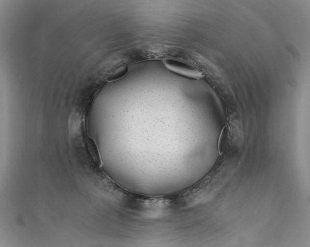 X0000110870225200907021443