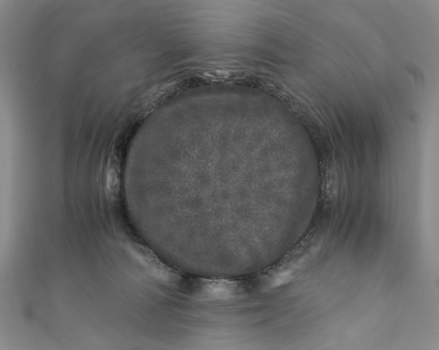 X0000110870226200907021443