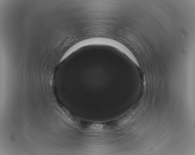 X0000110870227200907021443