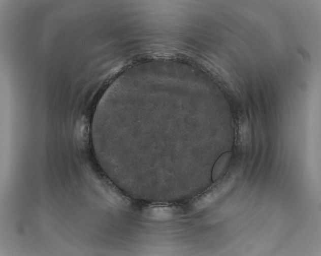 X0000110870228200907021443