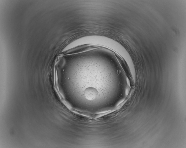 X0000110870229200907021443