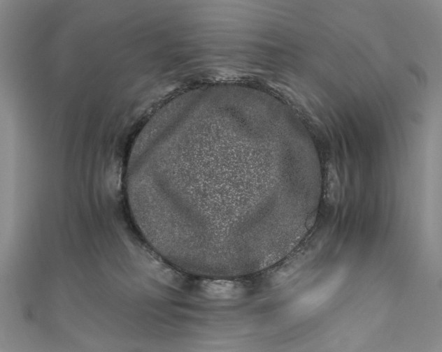 X0000110870230200907021443