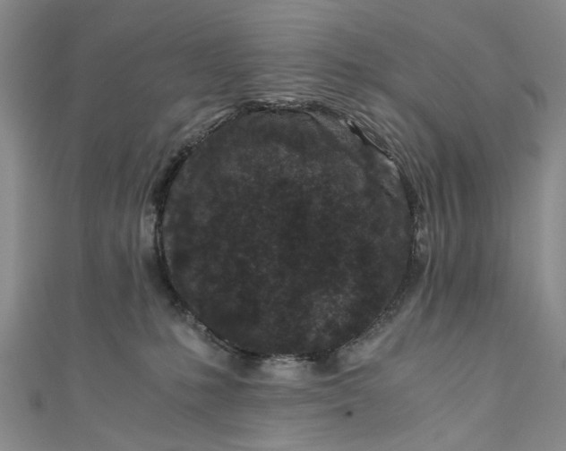 X0000110870231200907021443