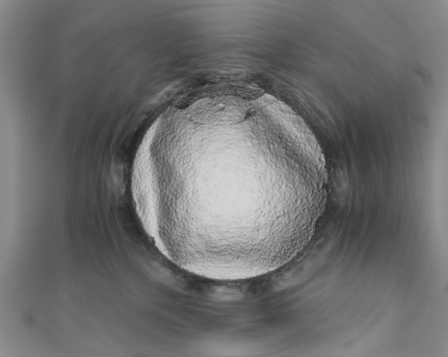 X0000110870232200907021443