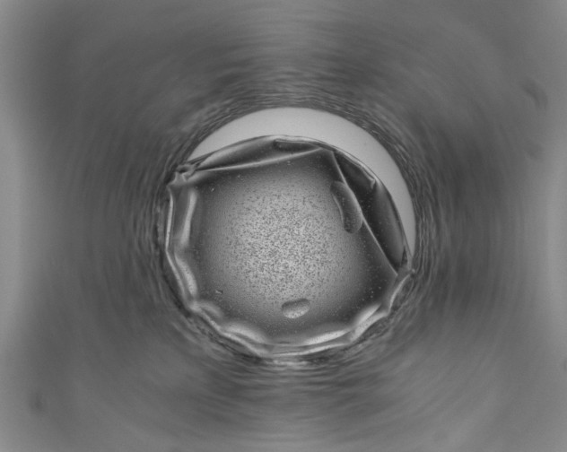 X0000110870233200907021443