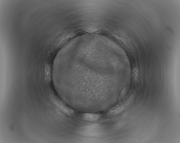 X0000110870234200907021443