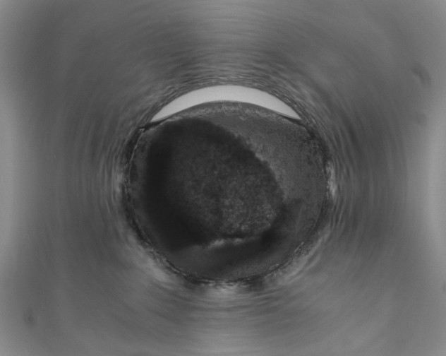 X0000110870235200907021443