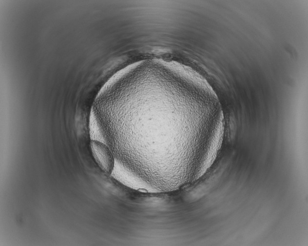 X0000110870236200907021443