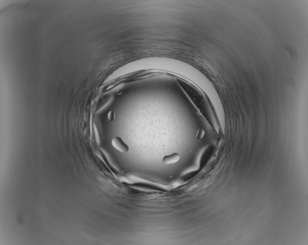 X0000110870237200907021443