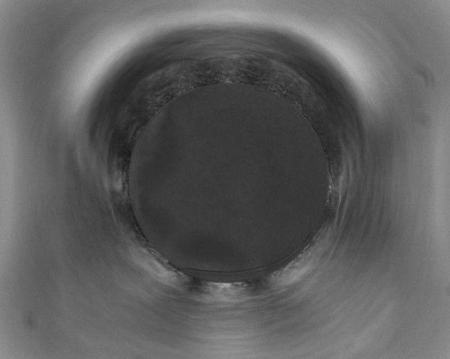 X0000110870239200907021443