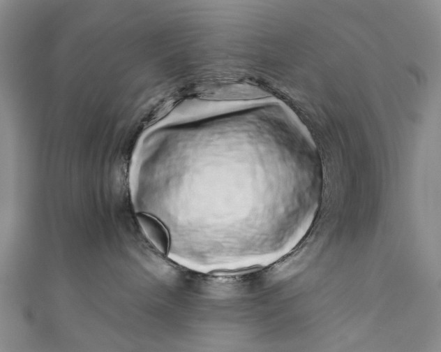 X0000110870240200907021443