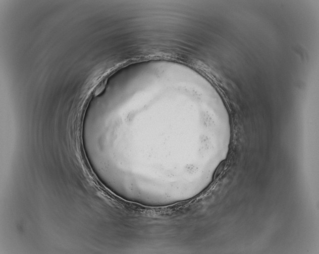 X0000110870241200907021442