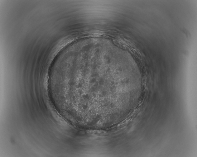 X0000110870242200907021442