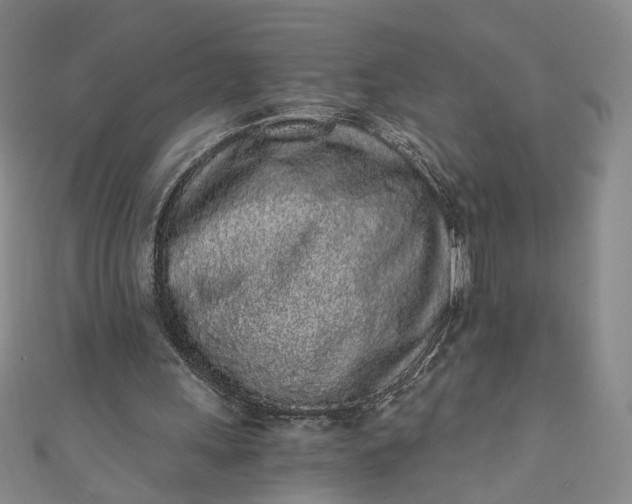 X0000110870243200907021442