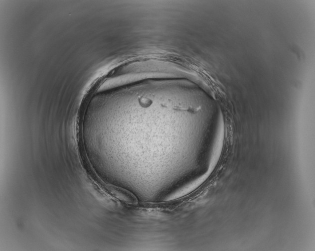 X0000110870244200907021442