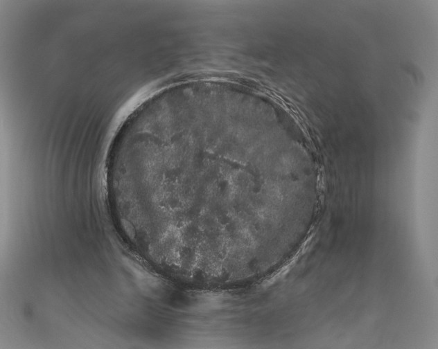 X0000110870246200907021442