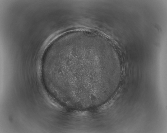 X0000110870247200907021442