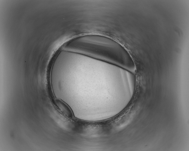 X0000110870248200907021442