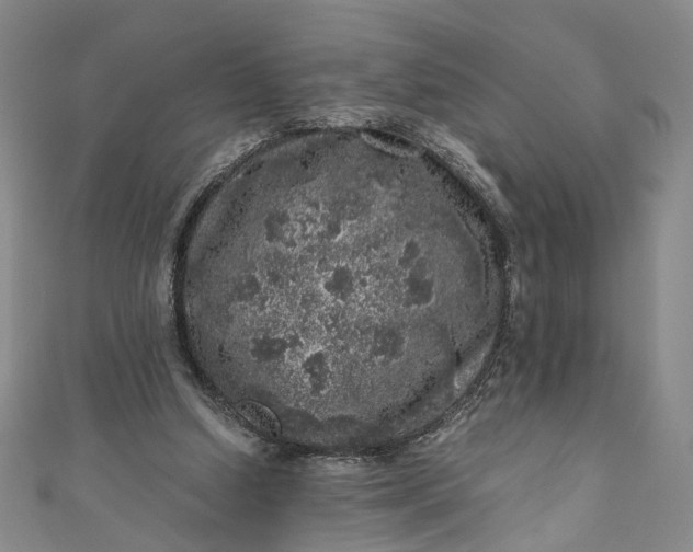 X0000110870250200907021442