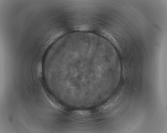 X0000110870251200907021442