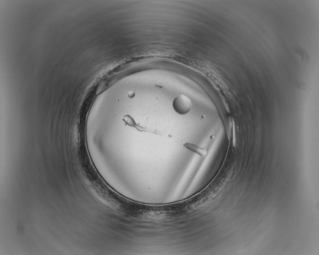 X0000110870252200907021442