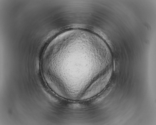 X0000110870253200907021442