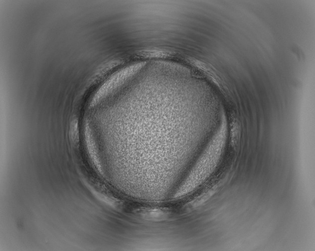 X0000110870254200907021442