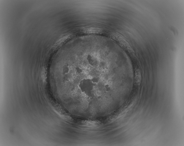 X0000110870255200907021442