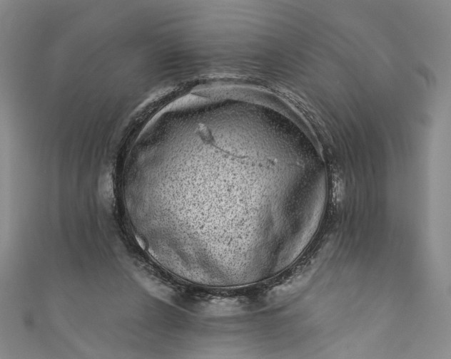 X0000110870256200907021442