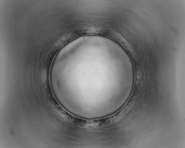 X0000110870257200907021442