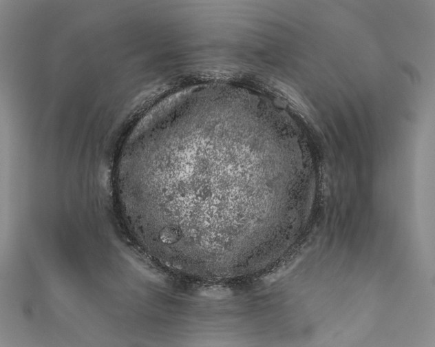 X0000110870258200907021442