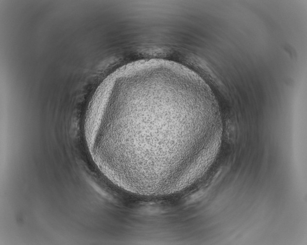 X0000110870259200907021442