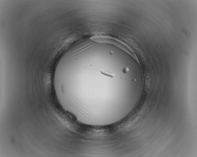 X0000110870260200907021442