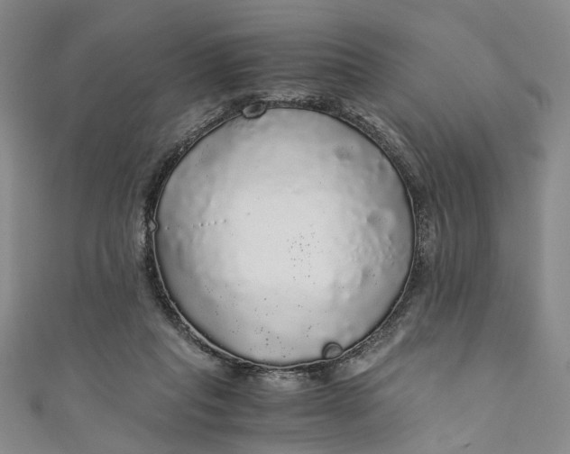 X0000110870261200907021442