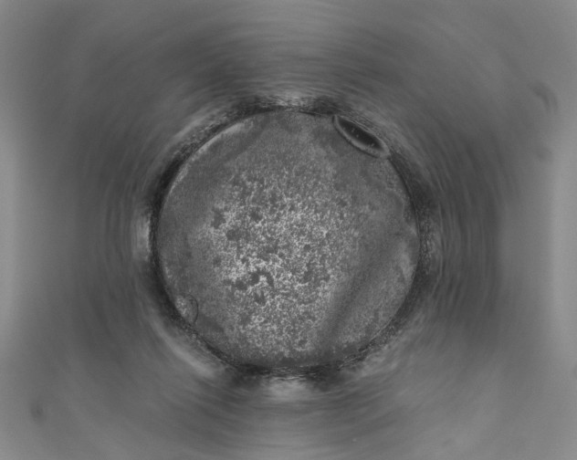 X0000110870262200907021442